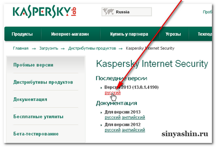 Renew licență antivirus Kaspersky de securitate pe internet (Kaspersky)