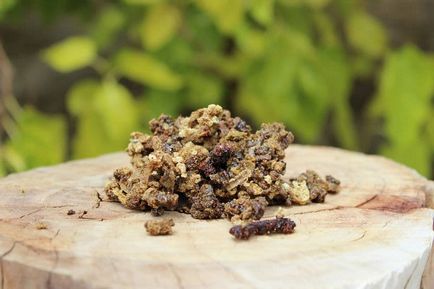 produse apicole în viața umană (de viață) produse apicole în viața umană