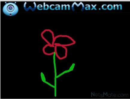 Programul WebcamMax pentru skype