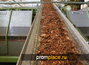producția de țigări - când a început și cum funcționează (producție) producția de țigări - când a început și cum funcționează