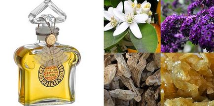 Despre pulverulente parfumuri parfum pentru branduri bine cunoscute femei