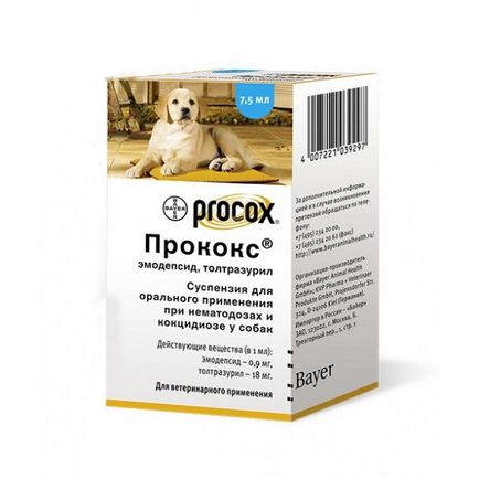 , medicamente antihelmintice antihelmintice pentru câini mai bine, pastile, medicamente, cum să obțineți