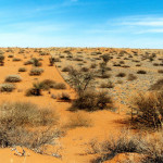 Taklamakan desert - vasta mare de dune de nisip