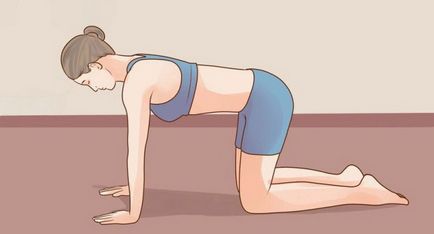 Întinzându-se înapoi la exerciții de bază (exerciții) Întinzându-se înapoi la exerciții de bază