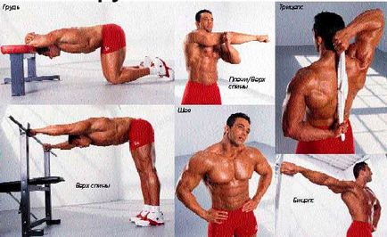 Întinzându-musculare după un antrenament, pentru exerciții de stretching