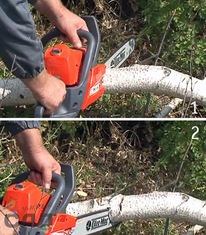 Noi înțelegem cum să taie în mod corespunzător un echipament copac drujba și consiliere