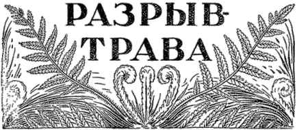 Iarba gap