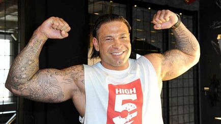 Real buldog (depusă) Bulldog reale