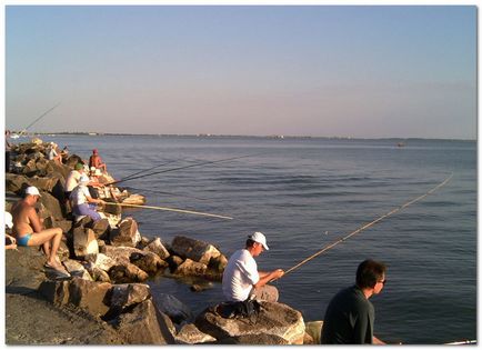 Pescuitul în Marea Neagră de pe mal, cum și ce pentru a prinde în Marea Neagră (pentru a prinde) Pescuitul în Marea Neagră de pe mal, cum și ce pentru a prinde în Marea Neagră