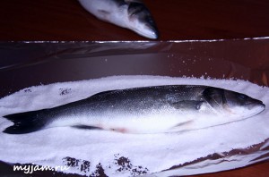 Pește coapte în sare
