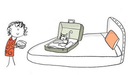 Desene, instrucțiuni cu privire la modul de a deveni o pisica in viata reala