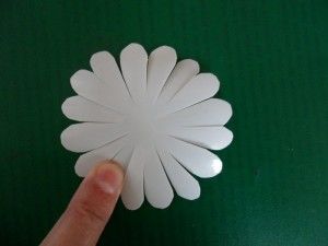 Daisies din sticle de plastic