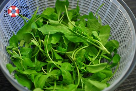 Rucola - proprietăți utile și rețete dietetice cu verdeață