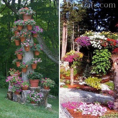 Cele mai frumoase paturi de flori din țară, cu propriile lor mâini colecției de fotografii