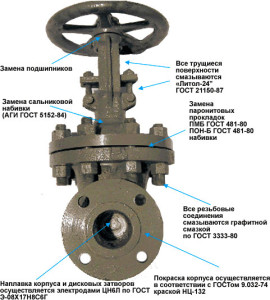 demnitate poarta supapă