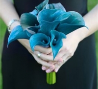 Albastru buchet de mireasa din ceea ce flori pentru a alege mireasa