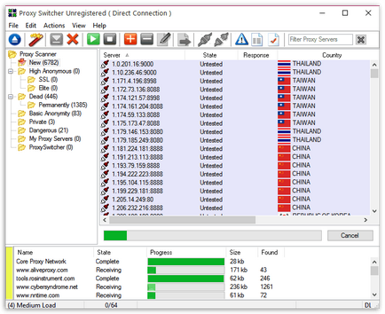 Descărcați proxy switcher în limba rusă