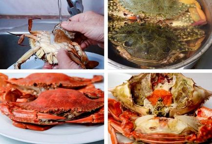 Cât de mult și cum să gătească crab proaspete și congelate la domiciliu