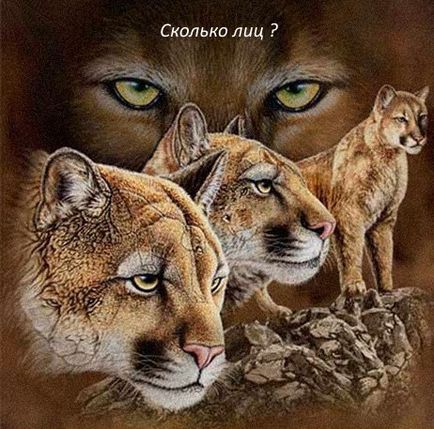 puzzle-uri complexe (puzzle-uri) puzzle-uri complexe