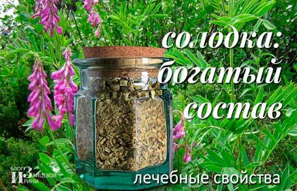 Licorice - dulceață medicinale (gastrita, ulcer peptic) Licorice - dulceață medicinale