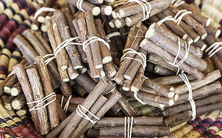 Licorice proprietăți utile și contraindicații, aplicații și rețete (lemn dulce) (proprietăți licorice utile contraindicație aplicare rădăcină Review dezgolit beneficiu Ural extract rău tinctură tuse licorice planta de lemn dulce plante medicinale compoziție bulion copil sarcinii sirop rețetă de pigment pete trimestru curățare limfă traditionale cosmetologie medicina ginecologie uscat umed umed ) Licorice proprietăți utile și contraindicații, aplicații și rețete (lemn dulce)