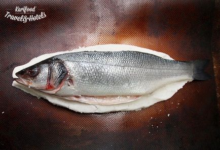 Sare coajă (sare) Sare carapacea