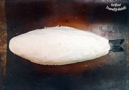 Sare coajă (sare) Sare carapacea