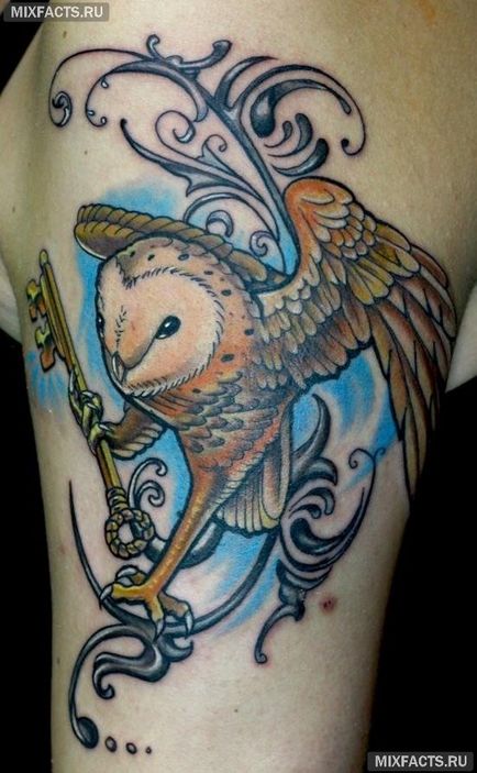 Owl sensul tatuaj și fotografii