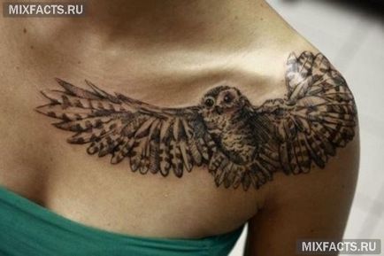 Owl sensul tatuaj și fotografii