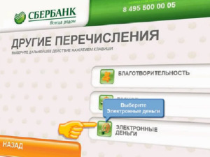 Modalități de a transfera bani de la pungă de kiwi, prin Sberbank Online