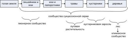 sistem de succesiune ecologic - studopediya