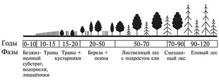 Succesiunea succesiunii ecosistemelor de mediu primare și secundare (una biocenoza altele) Succesiunea de succesiune ecologică primară și secundară, ecosistem