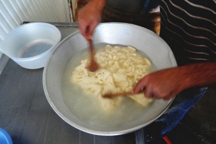 Suluguni cum să gătească acasă, reteta cu o fotografie (reteta suluguni) Suluguni cum să gătească acasă, reteta cu o fotografie