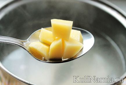 Supa cu brânză topită și pui