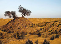 Taklamakan (desert) - China