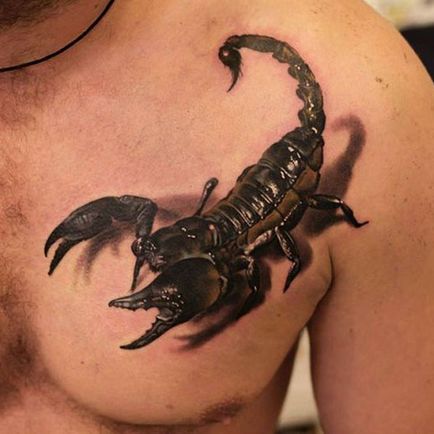 Tatuaj scorpion - valoare și fotografie scorpion tatuaj