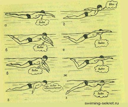 Tehnica fluture de înot (delfin)