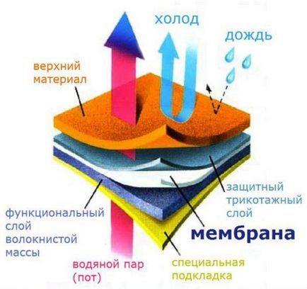 Membrana de tesatura ce este, descriere, comentarii (a) Membrana de tesatura ce este, descriere, comentarii