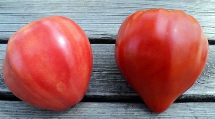 Tomate carne de vită inima - descrierea soiului cu o fotografie, comentarii