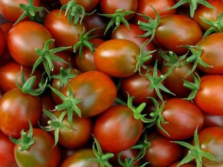 Descriere tomate negru Moor a soiului de tomate
