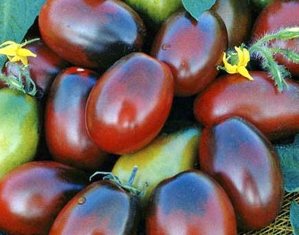 Tomate „Black Moor“ descriere a soiului, recenzii, caietul de sarcini (negru) Tomate „Black Moor“ Descrierea soiului, recenzii, caietul de sarcini