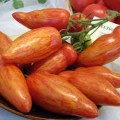 Cardinal soiuri de tomate roșii descriere caracteristică și recenzii