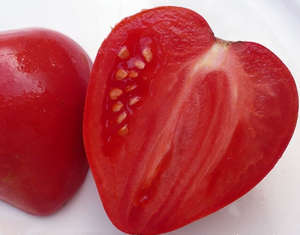 Tomate cardinal caracteristic și descrierea varietate, fotografii, comentarii (varietate) Caracteristici cardinale roșii și descrierea soiului, fotografie, recenzii