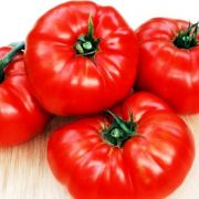 Tomate urs laba (50 poze) descrierea soiului de roșii, comentarii, video