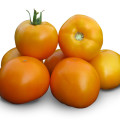 Tomate și rachete - descrierea caracteristicilor soiurilor și recenzii