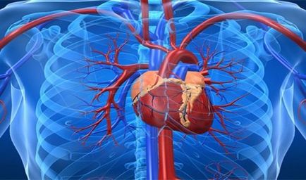 Top 25 lucruri pe care, potrivit statisticilor, cele mai multe dintre oameni mor