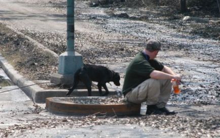 Top 25 câini restante care au fost în stare să facă imposibilul