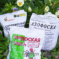 Fertilizator pentru flori sunt selectate și aplicate, în florile de grădină