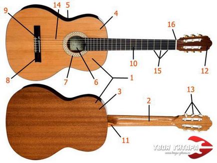 Aparatură chitară acustică (acustică) Aparatul este o chitară acustică