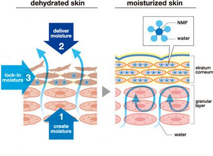 Hidrata pielea funcționează ca un hidratant cosmetice